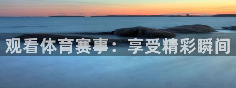 观看体育赛事：享受精彩瞬间
