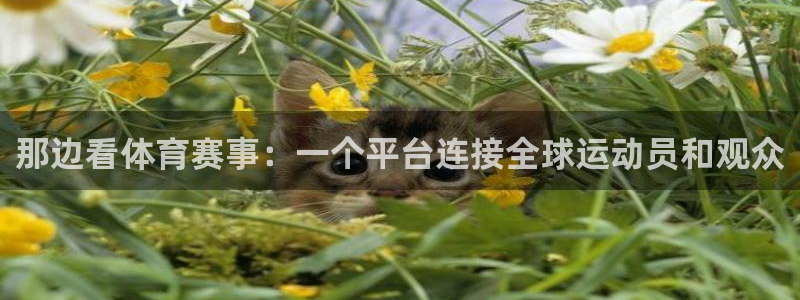 那边看体育赛事：一个平台连接全球运动员和观众