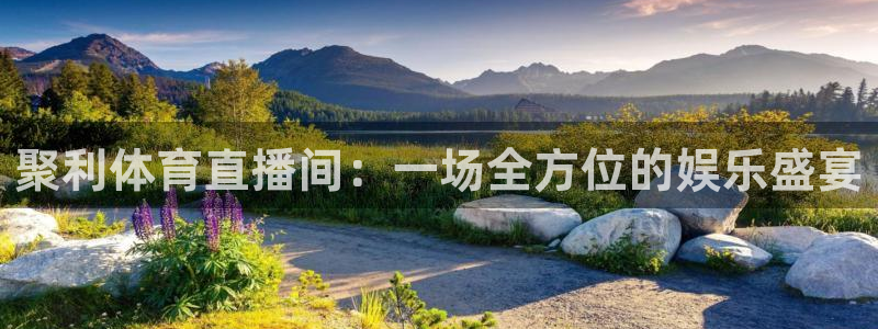 聚利体育直播间：一场全方位的娱乐盛宴
