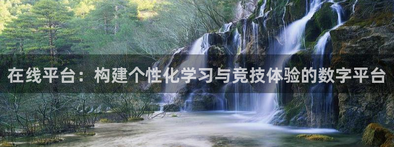 在线平台：构建个性化学习与竞技体验的数字平台