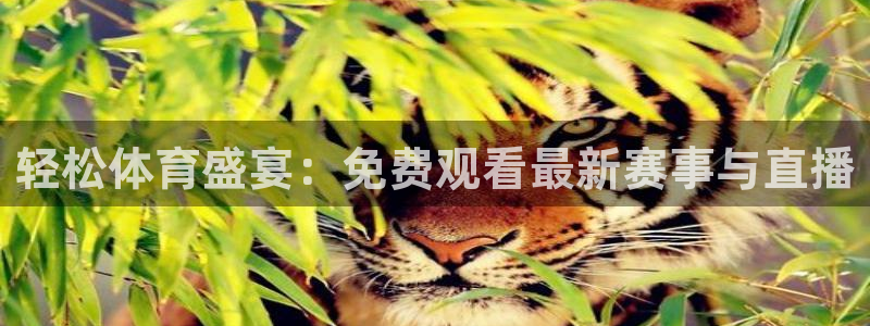 轻松体育盛宴：免费观看最新赛事与直播