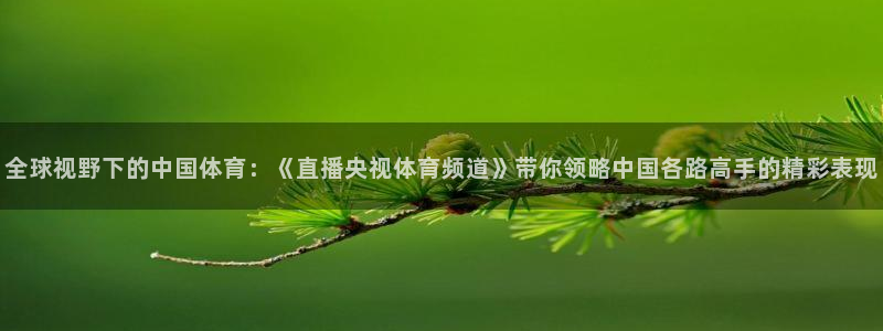全球视野下的中国体育：《直播央视体育频道》带你领略中国各路高手的精彩表现