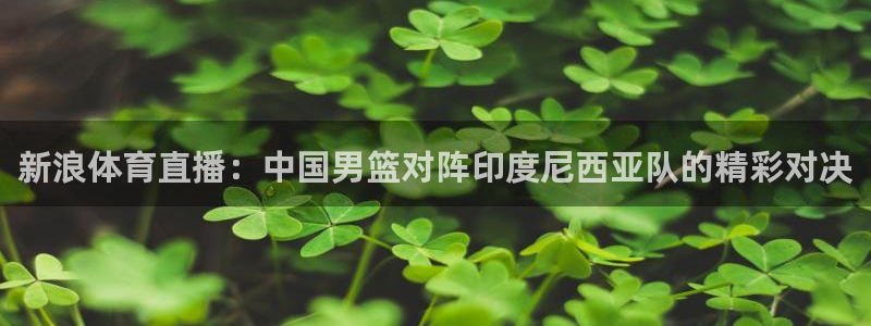 新浪体育直播：中国男篮对阵印度尼西亚队的精彩对决