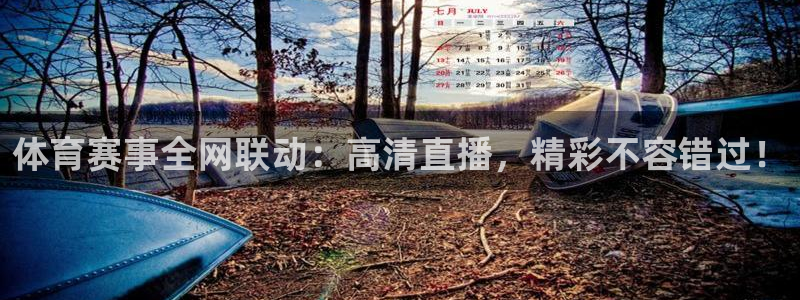 体育赛事全网联动：高清直播，精彩不容错过！