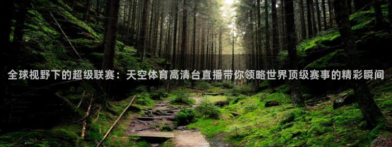 全球视野下的超级联赛：天空体育高清台直播带你领略世界顶级赛事的精彩瞬间