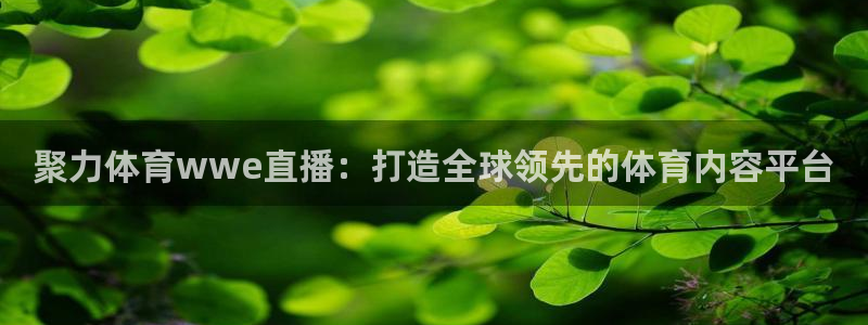 聚力体育wwe直播：打造全球领先的体育内容平台
