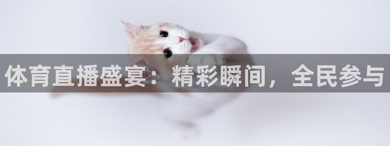 体育直播盛宴：精彩瞬间，全民参与
