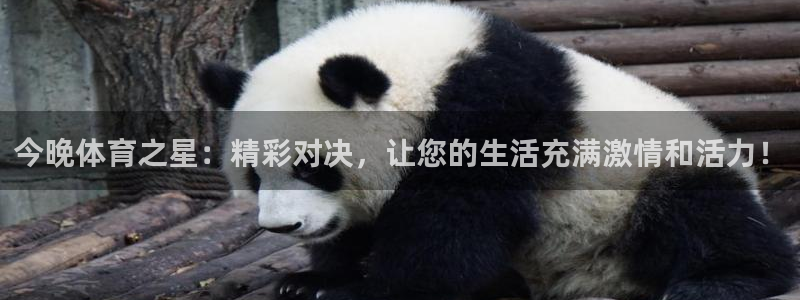 今晚体育之星：精彩对决，让您的生活充满激情和活力！
