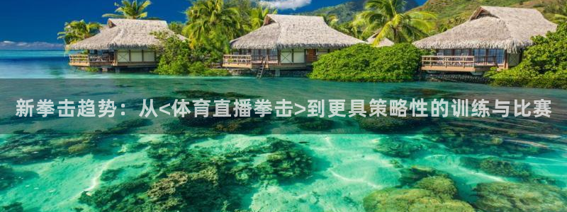 新拳击趋势：从<体育直播拳击>到更具策略性的训练与比赛