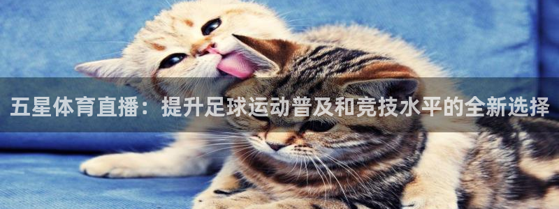 五星体育直播：提升足球运动普及和竞技水平的全新选择