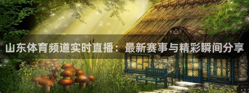 山东体育频道实时直播：最新赛事与精彩瞬间分享