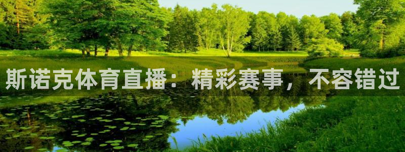 斯诺克体育直播：精彩赛事，不容错过