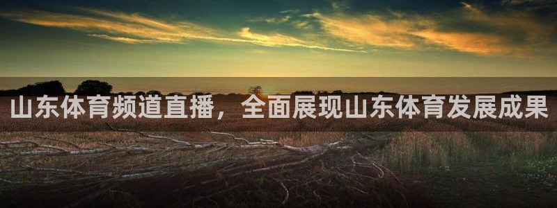 山东体育频道直播，全面展现山东体育发展成果
