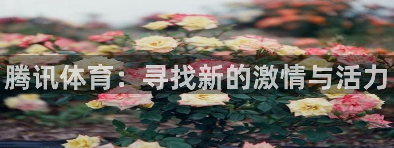 腾讯体育：寻找新的激情与活力