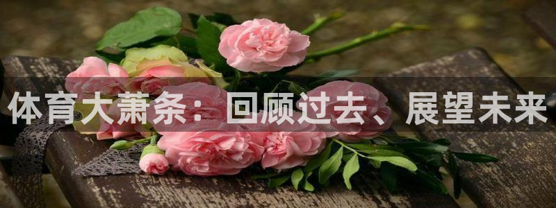体育大萧条：回顾过去、展望未来